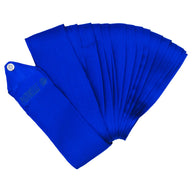 PASTORELLI Nastro monocolore 5m Blu